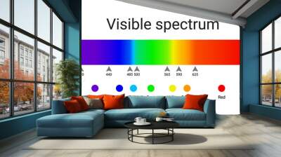 visible spectrum light. infographic of sunlight wavelength. vector Wall mural