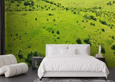 Aerial view of a green meadow with trees. Ecology and environment concept. Wall mural