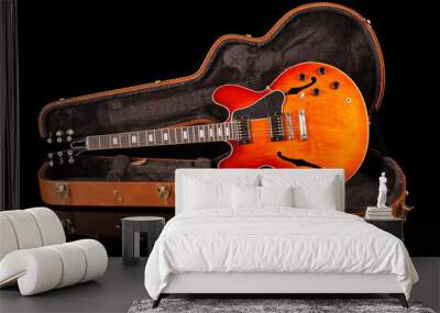 beautiful guitar in a case, on a black background, custom Wall mural