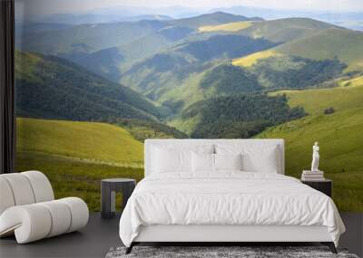 Beautiful summer nature landscape with trees on green rolling hillsides. Carpathian Mountains, Ukraine Wall mural