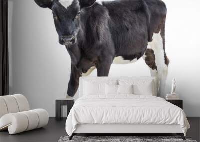 cow farm animal Wall mural