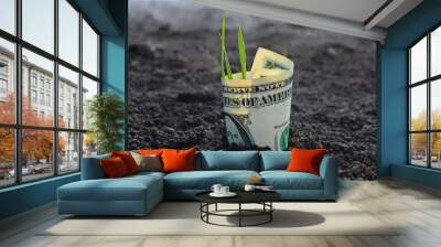 Dollar earning grows from the black earth. Business and profit concept. Wall mural