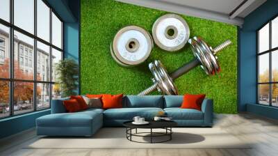 Dumbbells on a green artificial grass Wall mural