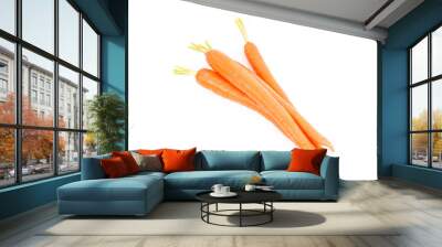 Fresh carrot on white background. Diet Wall mural