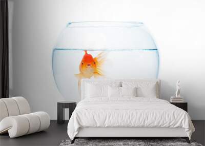 Gold fish with fishbowl on the white background Wall mural