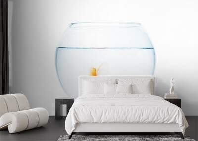 Gold fish with fishbowl on the white background Wall mural