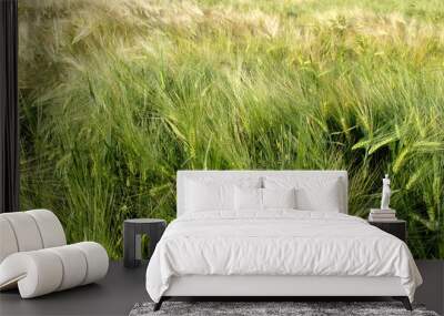 green grass background Wall mural