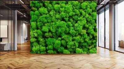 Green moss texture Wall mural