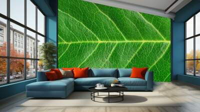 Macro close-up of vibrant green leaf texture with prominent veins, showcasing natural beauty. Ideal for nature designs, botanical studies, environmental projects, and as a background or texture. Wall mural