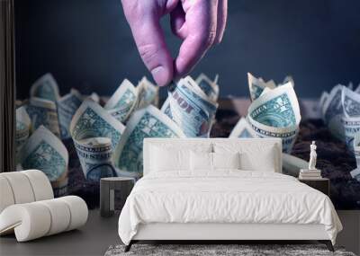 Money profit growth concept with dollars grow from the ground. A hand reaches for a bill in one hundred dollars. One dollar bills grow up. . Wall mural