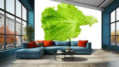 one salad leaf isolated on a white background Wall mural