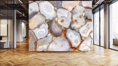 Agate Grey unique semi precious stone texture for luxury interior design. Wall mural