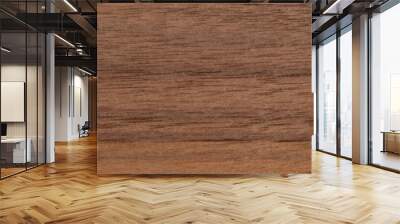 Canaletto veneer wood texture in close up Wall mural