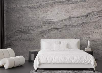 Fantasy White - polished grey granite stone slab, texture for perfect interior, background or other design project. Wall mural