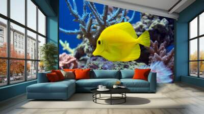 The yellow fish drifts among Wall mural