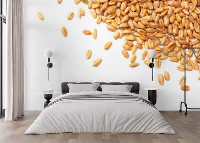 wheat grains isolated on white background. top view Wall mural