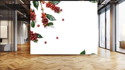 Close up fresh organic red coffee beans with coffee leaves isolated on white background with copy space Wall mural