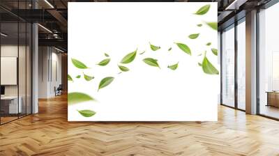 Flying whirl green leaves in the air, Healthy products by organic natural ingredients concept, Empty space in studio shot isolated on white background long banner Wall mural