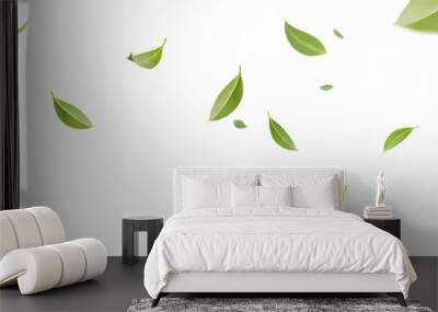 Flying whirl green tea leaves in the air with transparent background png, Healthy products by organic natural ingredients concept Wall mural