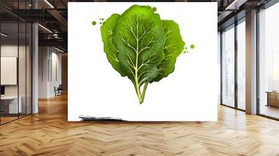 Collard greens isolated on white. Large, dark-colored, edible leaves and as a garden ornamental. Digital art illustration. Organic healthy food. Green vegetable. Graphic design element with splashes Wall mural