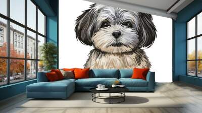 Pekapoo Puppy cross breed of Pekinese or Pekingese and poodle isolated on white. Digital art illustration of hand drawn cute home pet portrait, dog head, rear mixed poodle crossbreed, t-shirt print. Wall mural