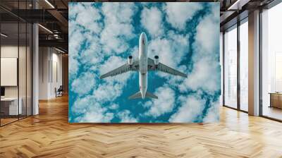 Airplane flying in the sky. Wall mural