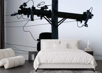 electric/phone cable 2 Wall mural