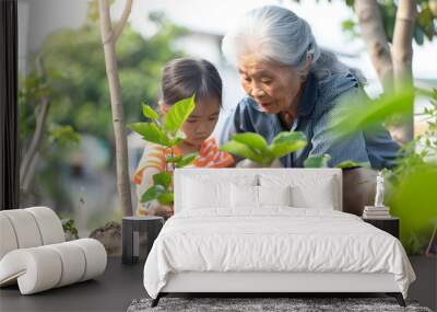 A chinese grandmother and granddaughter planting a tree Wall mural