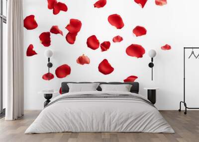 rose petals flying isolated on transparent background Wall mural