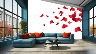 rose petals flying isolated on transparent background Wall mural