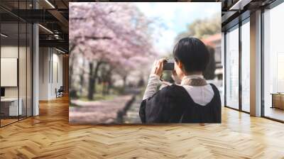 Back view traveler japanese woman pink sakura cherry blossom tree travel in japan on spring March and April Wall mural