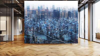 Tokyo cityscaped top view with cyber digital line. Wall mural