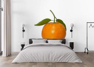 An Orange fruit with green leaves isolated on white background. Wall mural