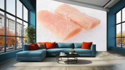 Raw Mahi Mahi on Ice Wall mural