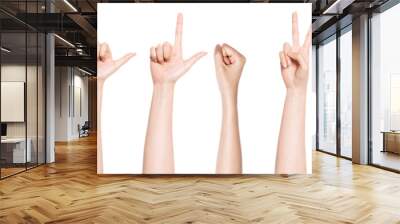 A set, group of finger gesture isolated on white. Wall mural