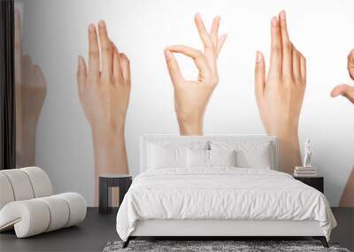 A set of hand gesture isolated on white. Wall mural