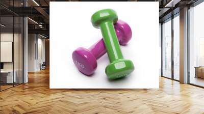 two dumbbell isolated white Wall mural