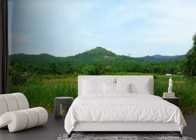 photography of mountain landscape with a clear sky background Wall mural