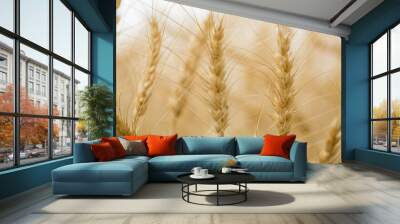 Agriculture wheat field background. Field of cereals and sends data to the cloud from the tablet. Smart farming and digital agriculture. Modern farm management. Wall mural