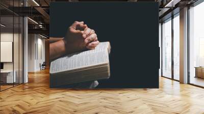 Christian life crisis prayer to god. Woman pray for god blessing to wishing have a better life. Female hands praying to god with the bible. begging for forgiveness and believe in goodness. Wall mural