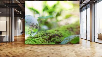 Globe planet glass in green forest with bokeh nature lights. world environment day. concept of environment conservation, protect ecology earth and environmental eco-friendly life banner and copy space Wall mural