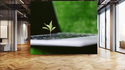 Green information technology. Environmentally Sustainable IT. Copy space. Green plant growing on laptop computer keyboard with green background. Environment green technology. Wall mural