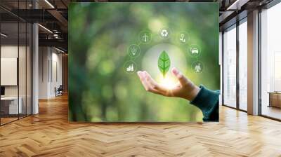 Hand holding green leaf with icons energy sources for renewable, sustainable development. Ecology concept. Technology with environment Icons over the Network connection on green background. Wall mural