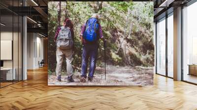 Young couple tourists with backpack in the park. Adventure. Wall mural