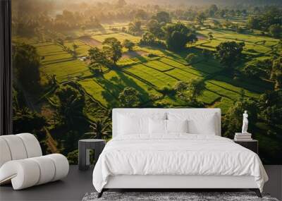 farmland green agriculture rice field, environment tree forest mountain. nature and landscape travel Wall mural