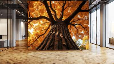 Majestic Tree with Vibrant Autumn Foliage Viewed from Below in a Sunlit Forest - Captivating Fall Colors, Nature, and Landscape Photography Wall mural