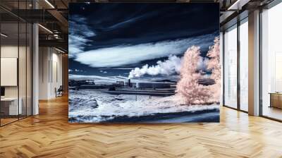 Vibrant Infrared Geothermal Landscape, sustainable energy solutions, green technology, environmental harmony, renewable resources, ecological balance, climate action, nature and innovation, clean ener Wall mural