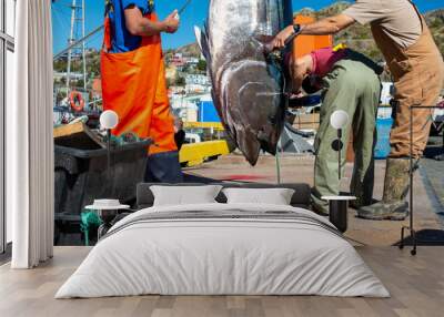 A large fresh catch of Atlantic bluefin tuna hangs ikejime style for gutting, cleaning, and butchering by a chef at a seafood market. The raw tuna has dark blue skin with a thick body, fins and a head Wall mural