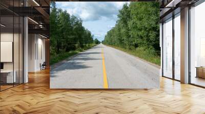 Country road with autumn trees and shrubs along the sides.The sky is cloudy with blue in the background. The long paved road is in the center with the foreground leading the eyes to the top of a hill. Wall mural