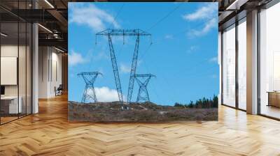 Large transmission lines and metal towers moving electricity, conductors, and distribution wires for high voltage electricity. The poles have a blue sky in the background with white clouds. Wall mural